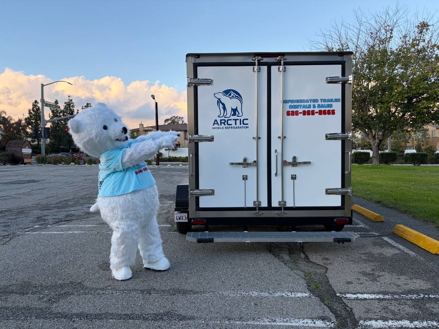 Professional Service